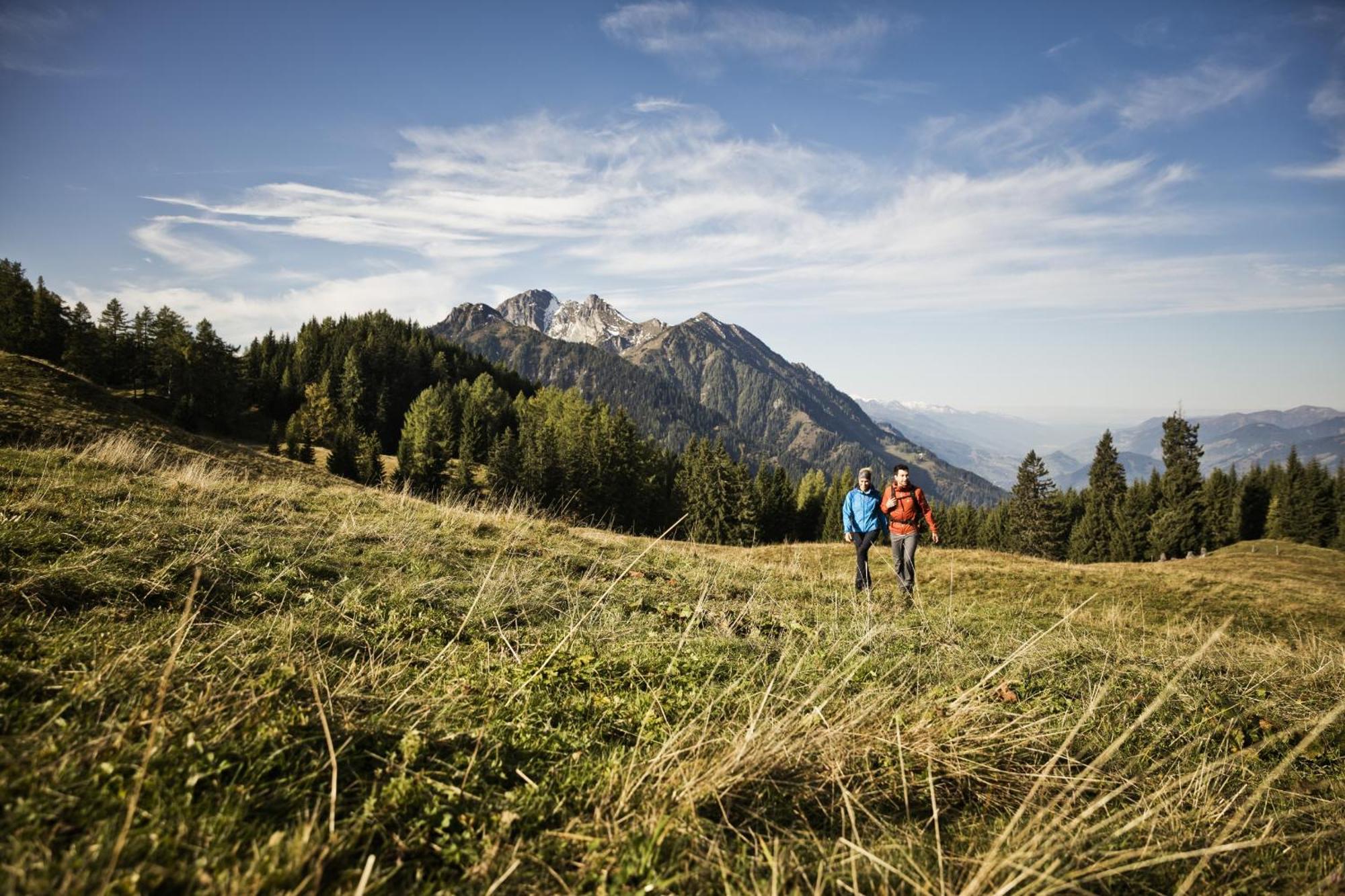Forsthof Gasthof 3*