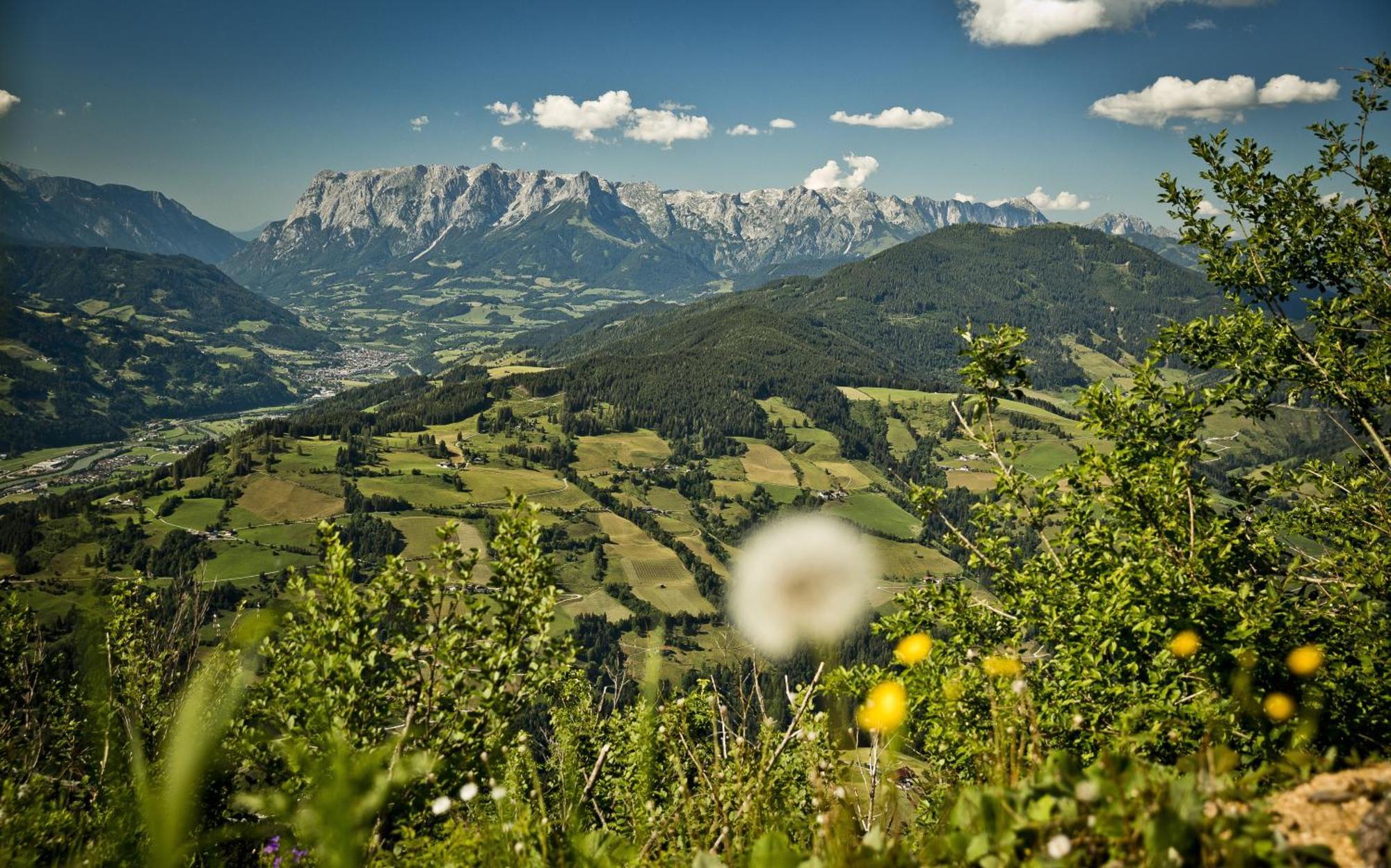 Forsthof Gasthof St. Johann im Pongau